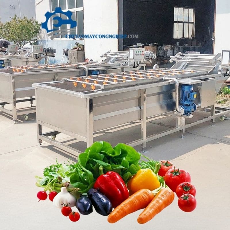 Máy sục rửa rau quả