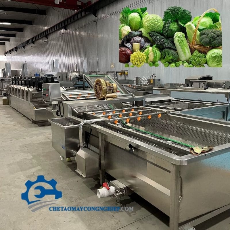 Cung cấp máy rửa rau củ quả